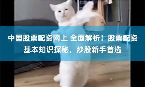 中国股票配资网上 全面解析！股票配资基本知识探秘，炒股新手首选